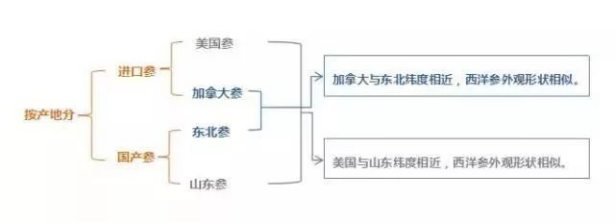 西洋參產(chǎn)地