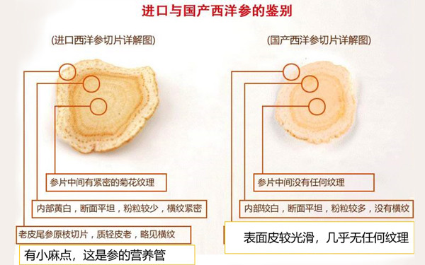 進口與國產(chǎn)西洋參區(qū)別.jpg